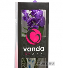 Орхидея  Ванда  голубая в стеклянном цилиндре 70 см