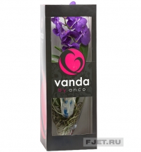 Орхидея  Ванда  голубая в стеклянном цилиндре 70 см