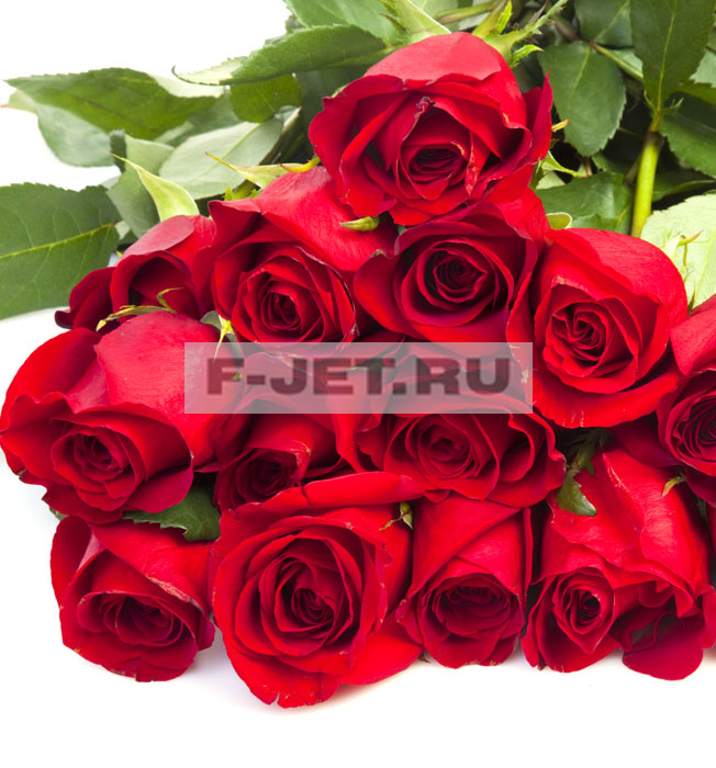 Букет: Розы красные